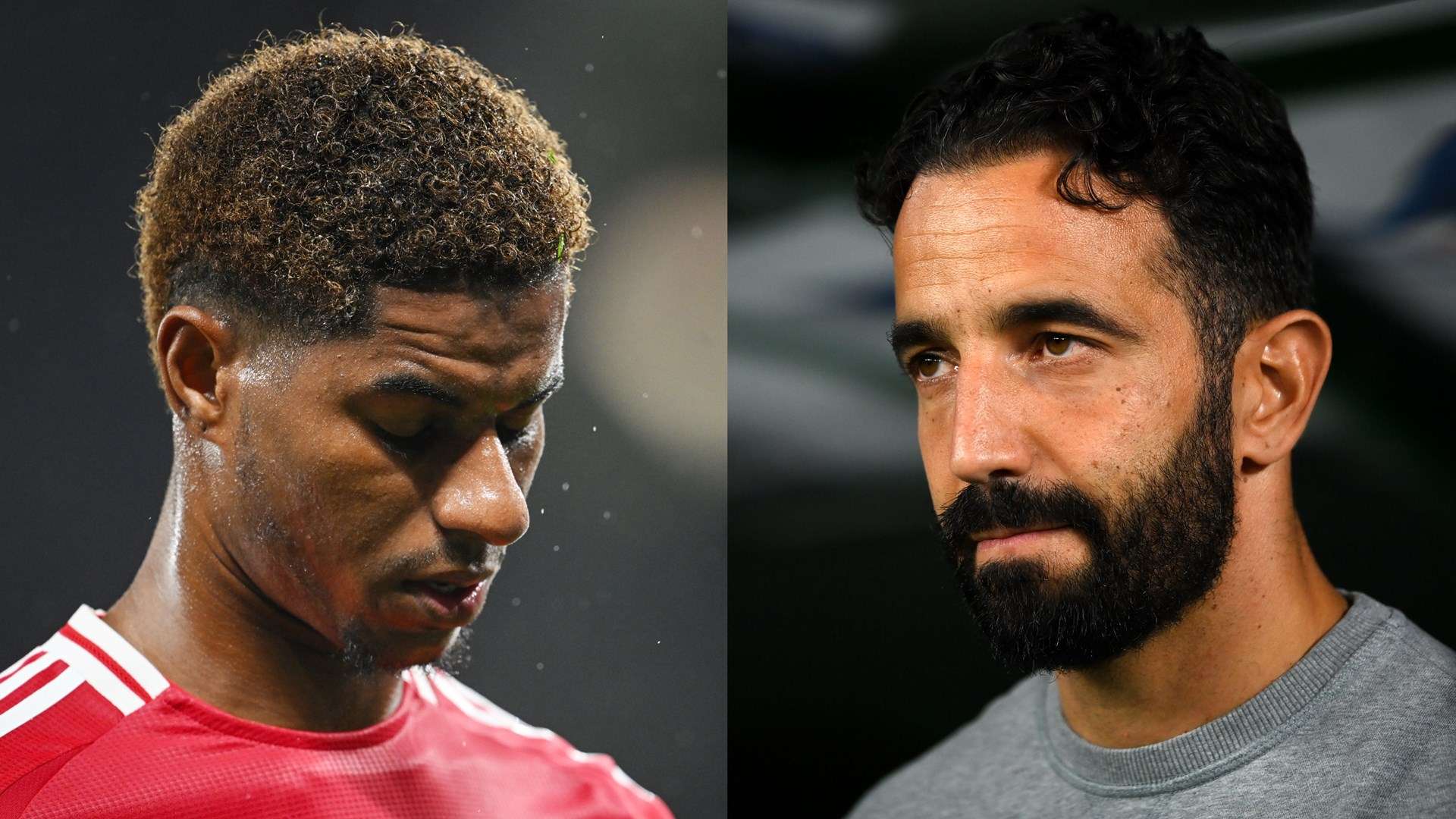 雖然希望將 雖然希望將